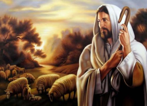 Ogłoszenia Duszpasterskie i Intencje Mszy św. - IV Niedziela Wielkanocy - Dobrego Pasterza