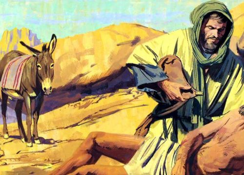 Ogłoszenia Duszpasterskie i Intencje Mszy św. - 15 Niedziela Zwykła