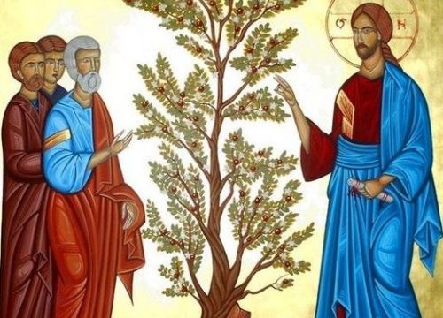 XVII Niedziela Zwykła, 05.10.2025